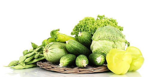 茴香气泡清洗机与苗木产品报价分析