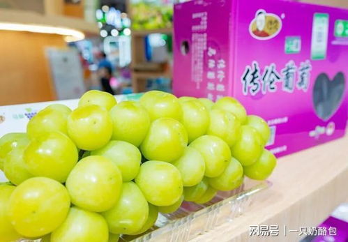 沪产优品产销会放异彩 四款明星苗木农产品凭啥出圈