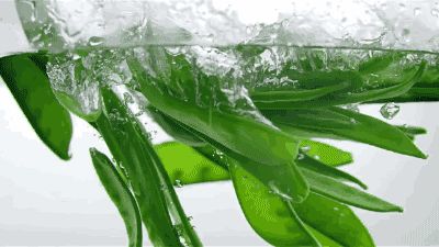 蔬菜学博士妈妈支招 让孩子爱上吃菜的秘诀与蔬菜趣味科普