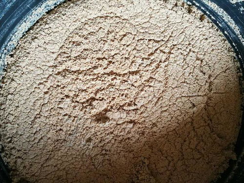 正宇多多黑水虻发酵虫浆 内陆水产养殖的绿色革命，鱼虾健康新“食”代