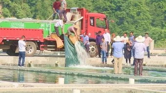 三都县生态水产养殖企业正式投产 省财政厅驻村工作队助力产业振兴