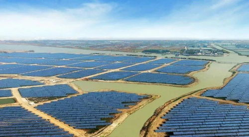 水产变革在即 巨头入局后的内陆水产养殖销售新格局