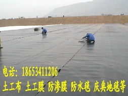 内陆水产养殖 从池塘到餐桌的全链条发展策略