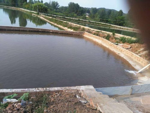 养殖新手必学 内陆水产养殖场高效管理与销售指南