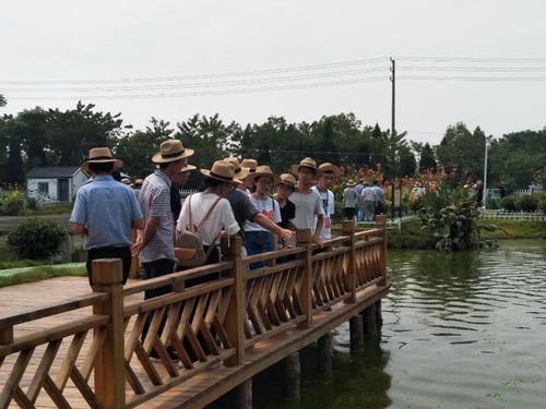 水产绿色健康养殖“五大行动”暨规范用药科普下乡活动在我县举行